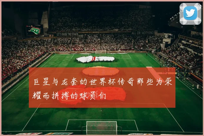 巨星与龙套的世界杯传奇那些为荣耀而拼搏的球员们
